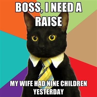Executive Cat Meme
